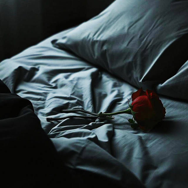 Between The Sheets