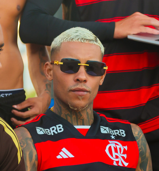 Mc Poze do Rodo