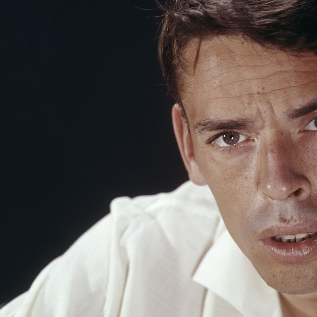 Jacques Brel image