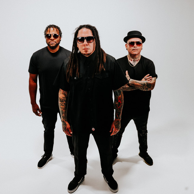 P.O.D. image