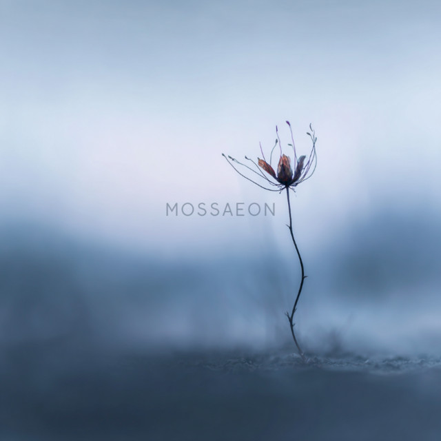 Mossaeon