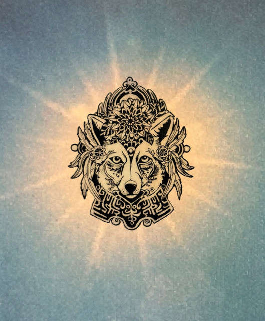 Coyote Reverie