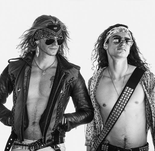 Wings of Steel photo