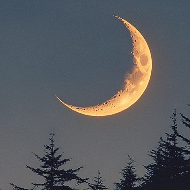 moonlit.