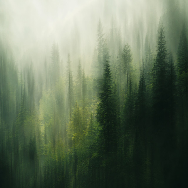 Mosslight