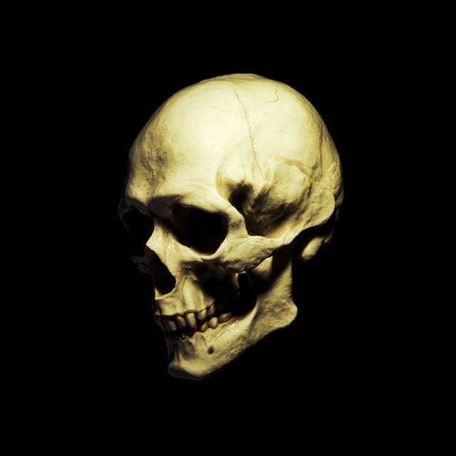 TRASHXRL image