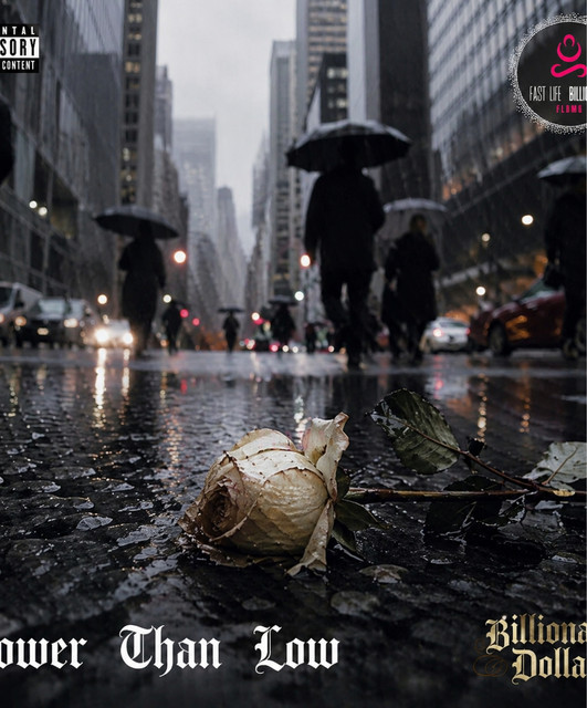 Fast Life Billionaire