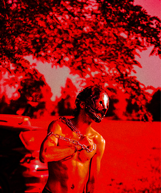 Giovane Drago