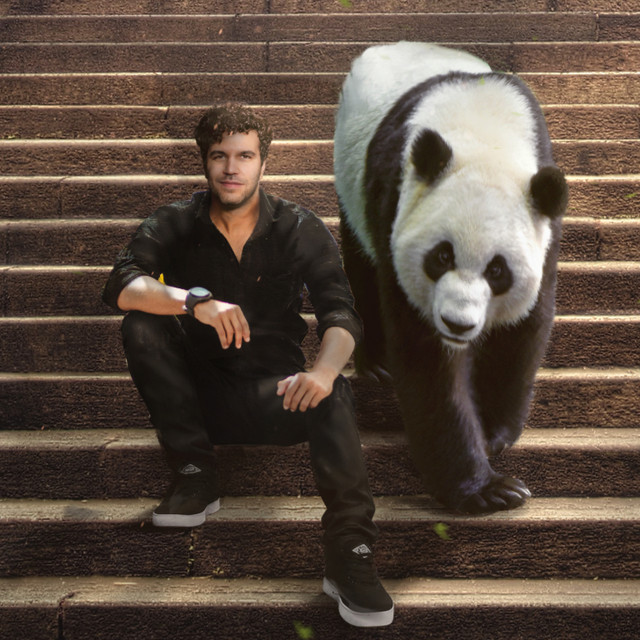 Viva La Panda