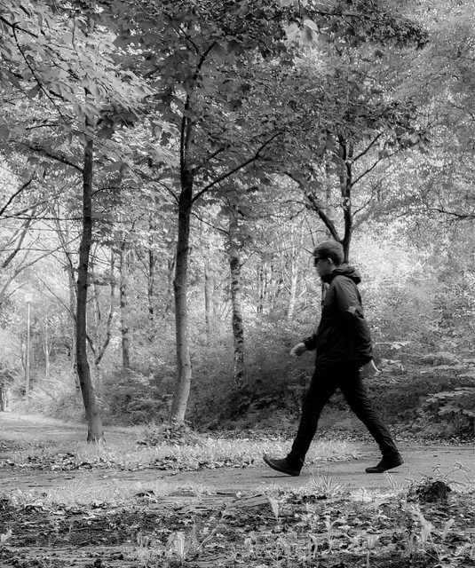 Forest Park