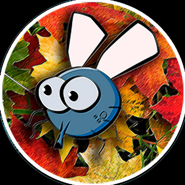 Autumn Flyz