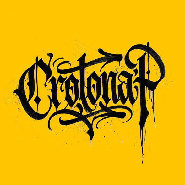 Crotona P