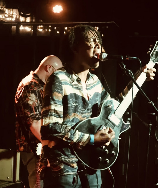 The Colourflies