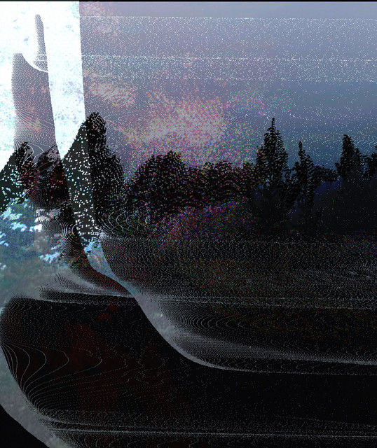Solace in Bloom