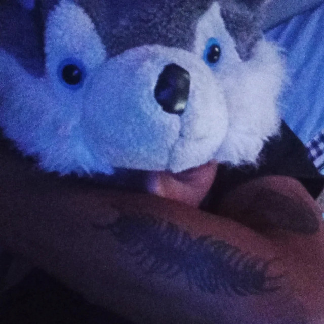 Lobinho.33