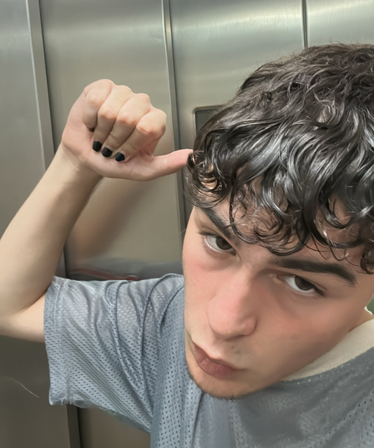 disrebel