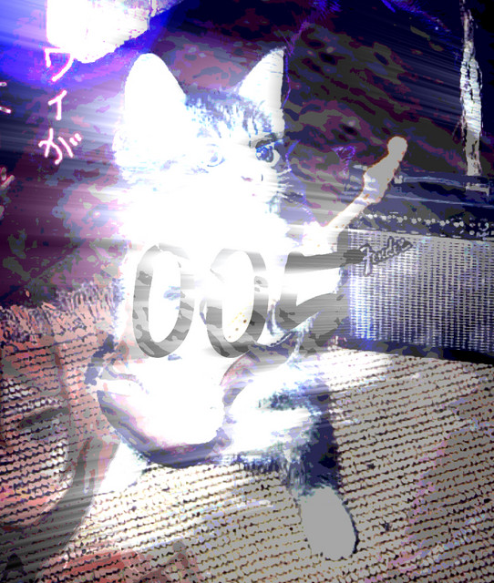 005Chrys