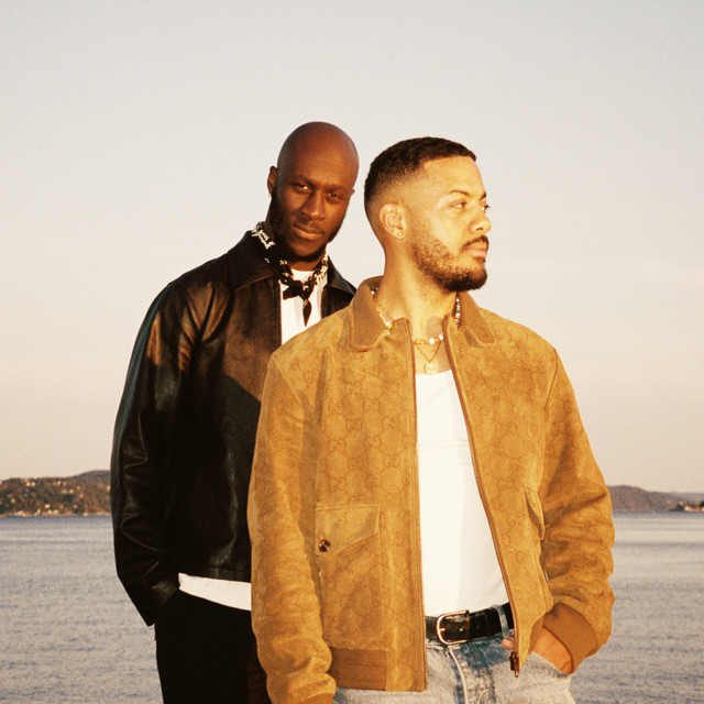 Nico & Vinz image