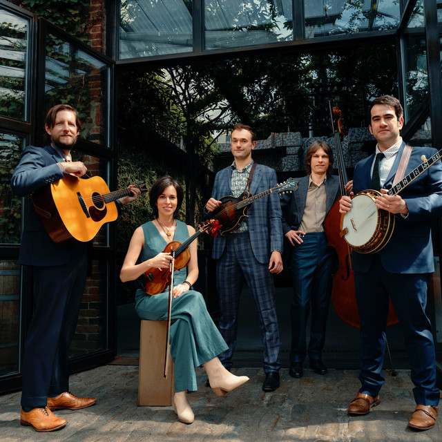 Punch Brothers image