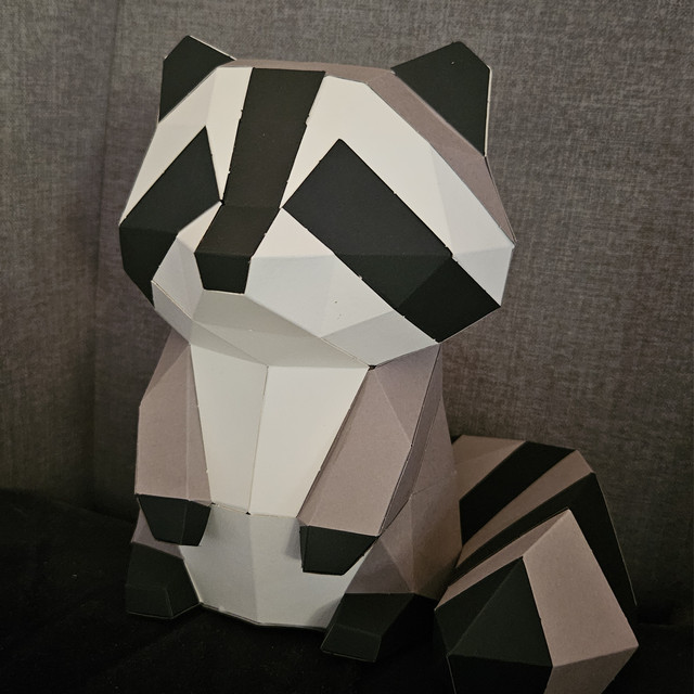 Mohidi The Raccoon