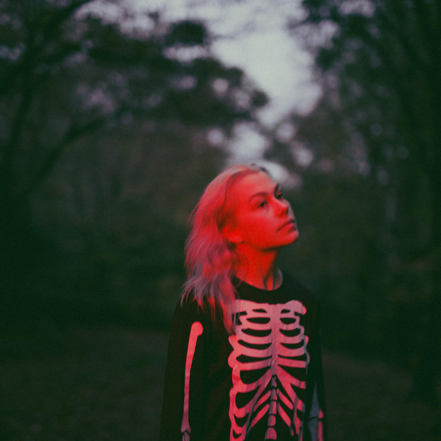 Phoebe Bridgers image