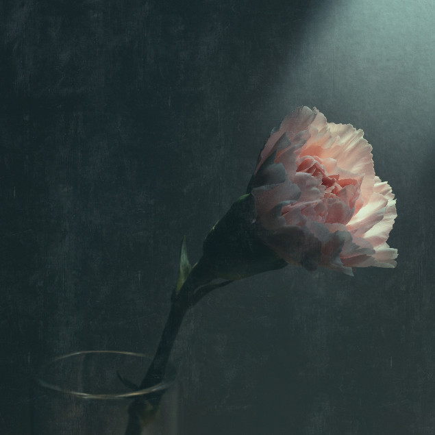 Sarah Reynolds