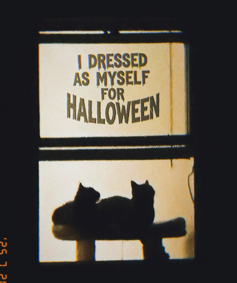 idressedasmyselfforhalloween