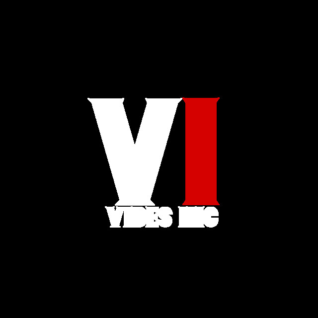 Vibes inc