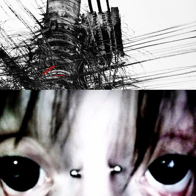 li