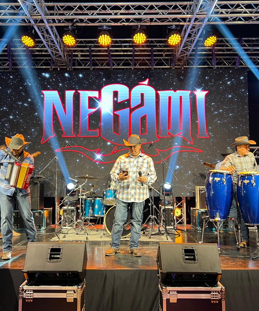 Negami | Spotify