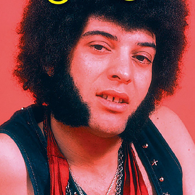 Mungo Jerry image