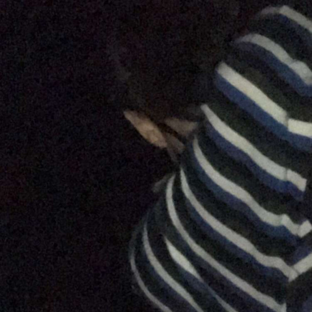 sofabed