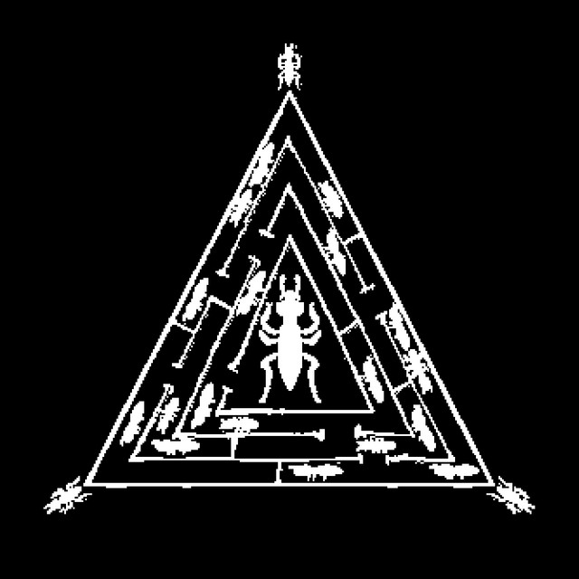 D04