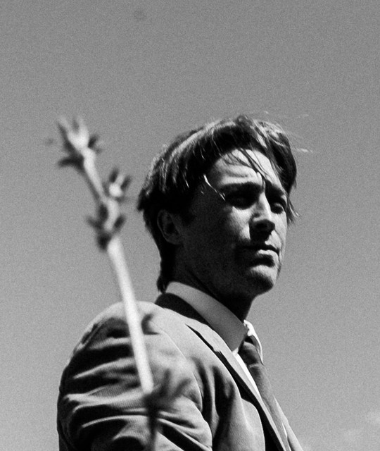 Ryan Chambers
