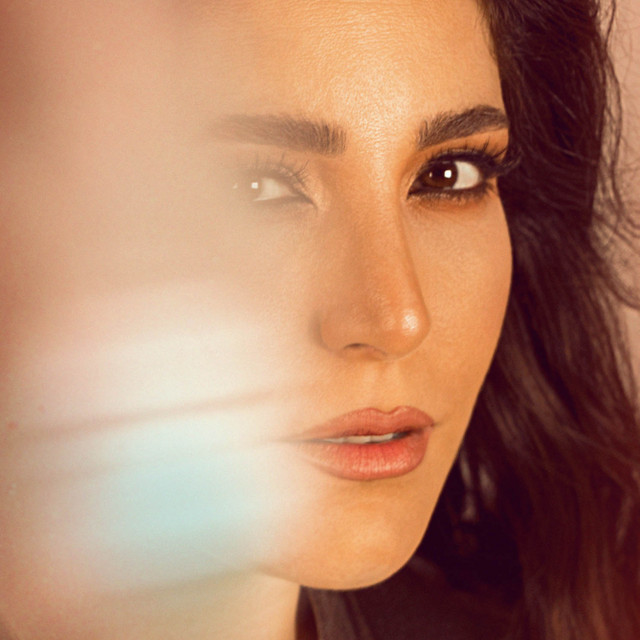 Abeer Nehme