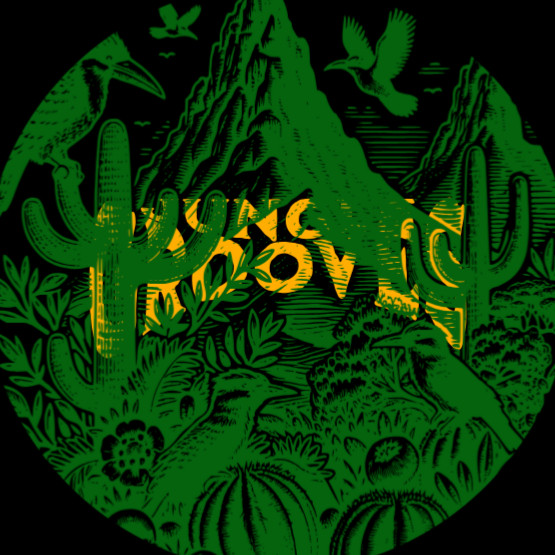 June Grooves artist photo