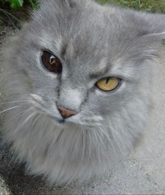 bryyan