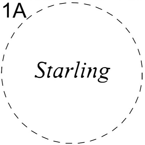 starling
