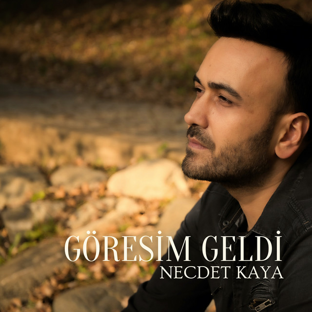 Necdet Kaya