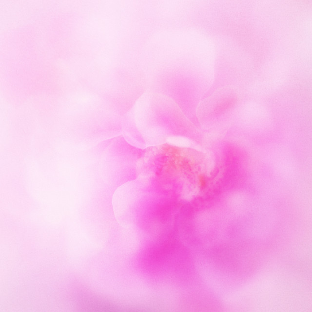 Velorae