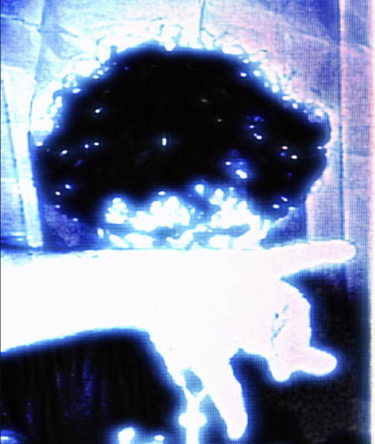 OPUS