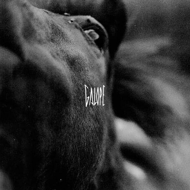 Galope