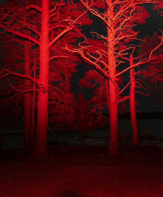 Bloodhaver