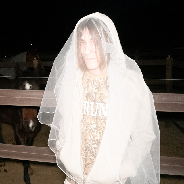 aldn image