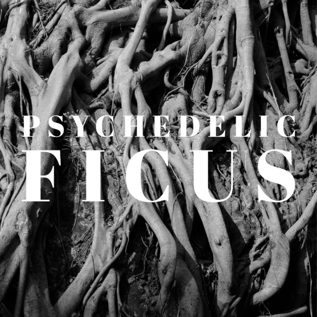 Psychedelic Ficus
