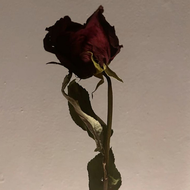 vihtas