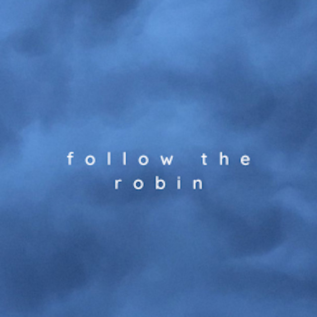 Follow The Robin | Spotify