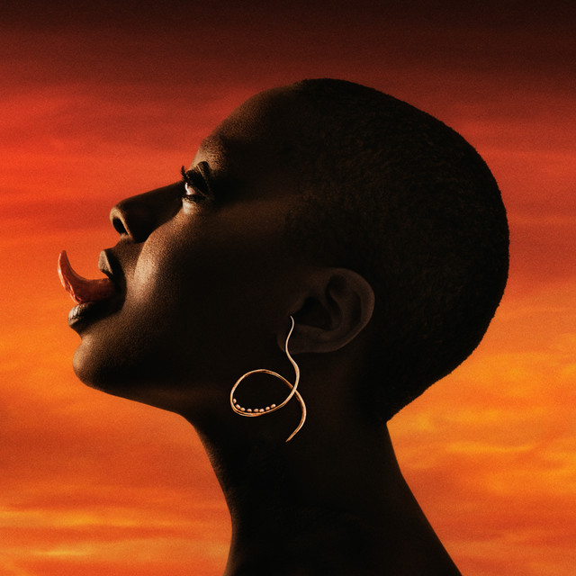 Cécile McLorin Salvant image