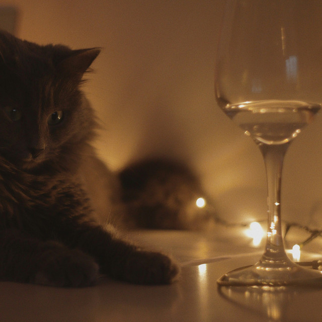 Suede Wine
