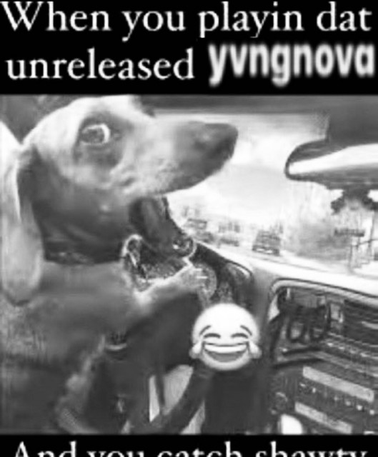 YvngNova72